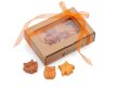 Autumn Spice Owl illatviasz aromalámpához